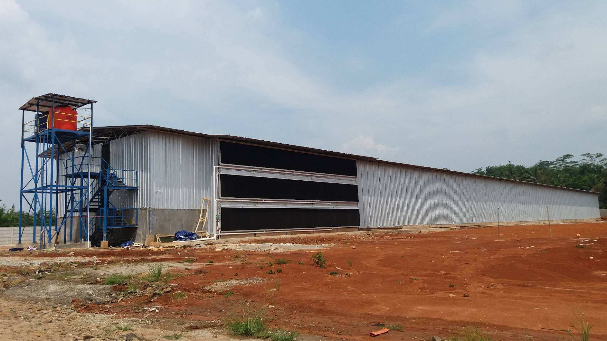Ayam Potong Sehat & Produktif